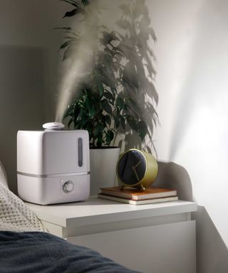 humidifier in living space