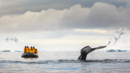 A large whale surfaces next to a small raft full of people in yellow life vests.