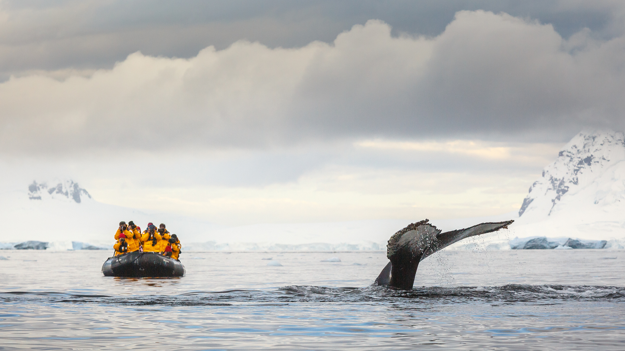 A large whale surfaces next to a small raft full of people in yellow life vests.
