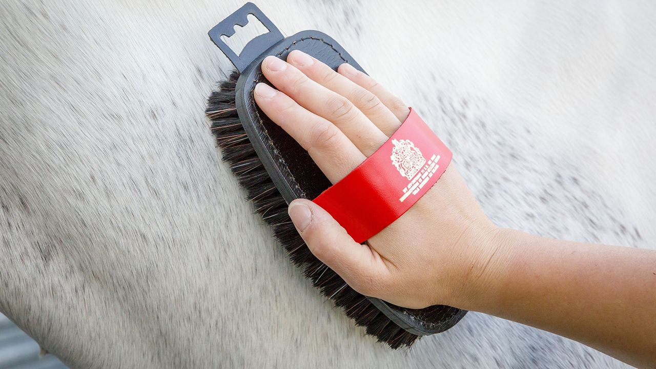 Equerry Luxury XLH body brush