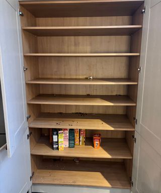 empty full height larder unit