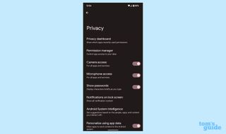 android 12 privacy menu screenshot