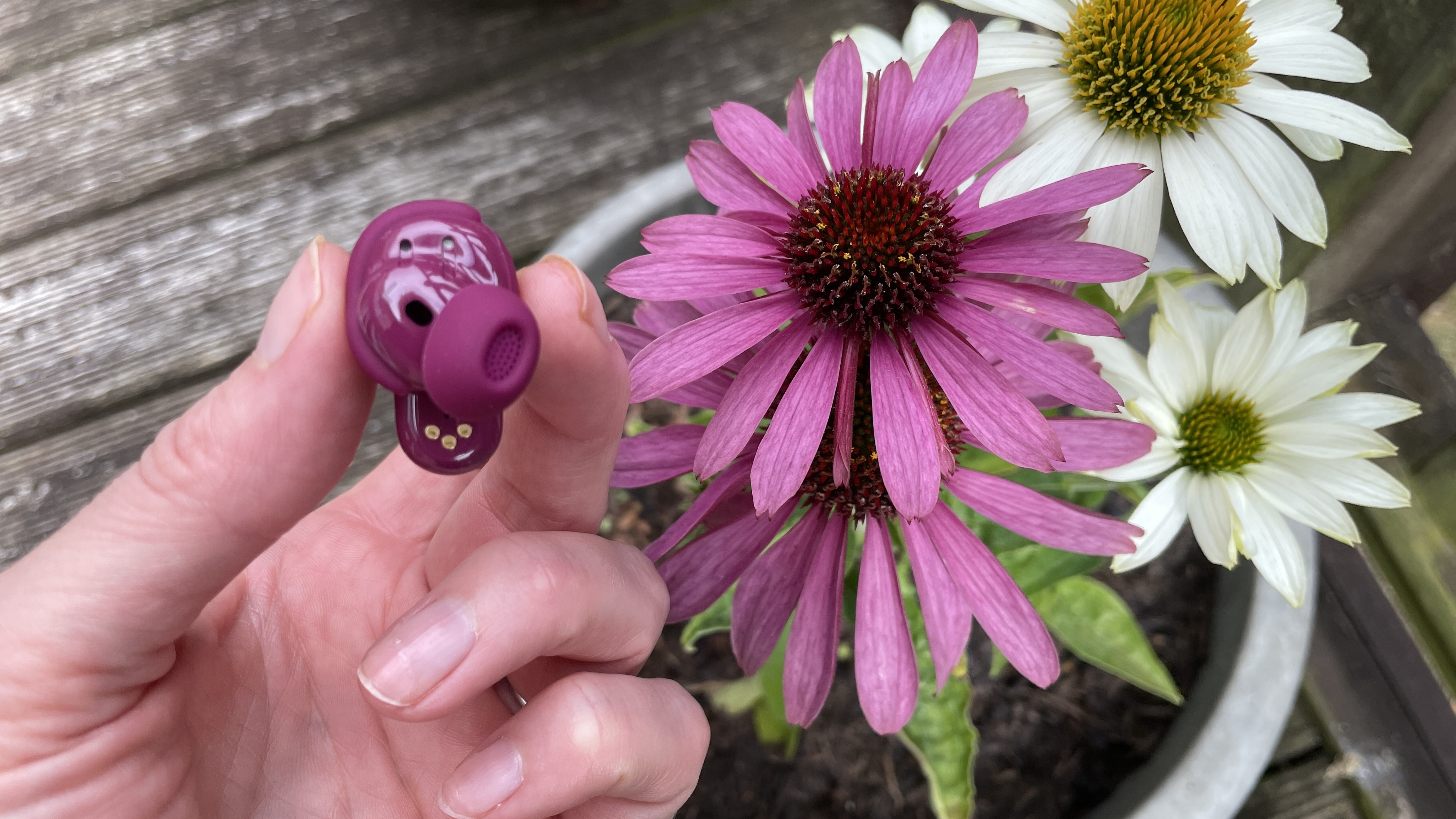 Bose QuietComfort Ultra Earbuds (2nd Gen) in purple color, next to some flowers of a similar shade but held in a hand