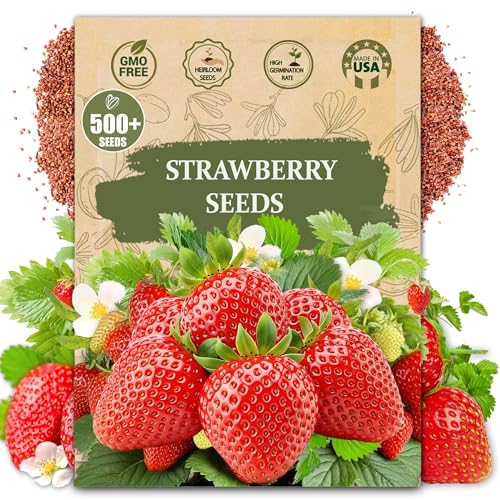 Rare Strawberry Seeds for Planting - 500 Fragaria &amp;times; Ananassa Non-Gmo Heirloom Seeds - Extra Big, Juicy, Sweet Strawberries