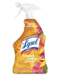Lysol  All Purpose Cleaner Spray