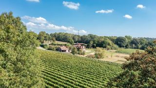 Grade II farmhouse situated behind 16.25 acre vineyard