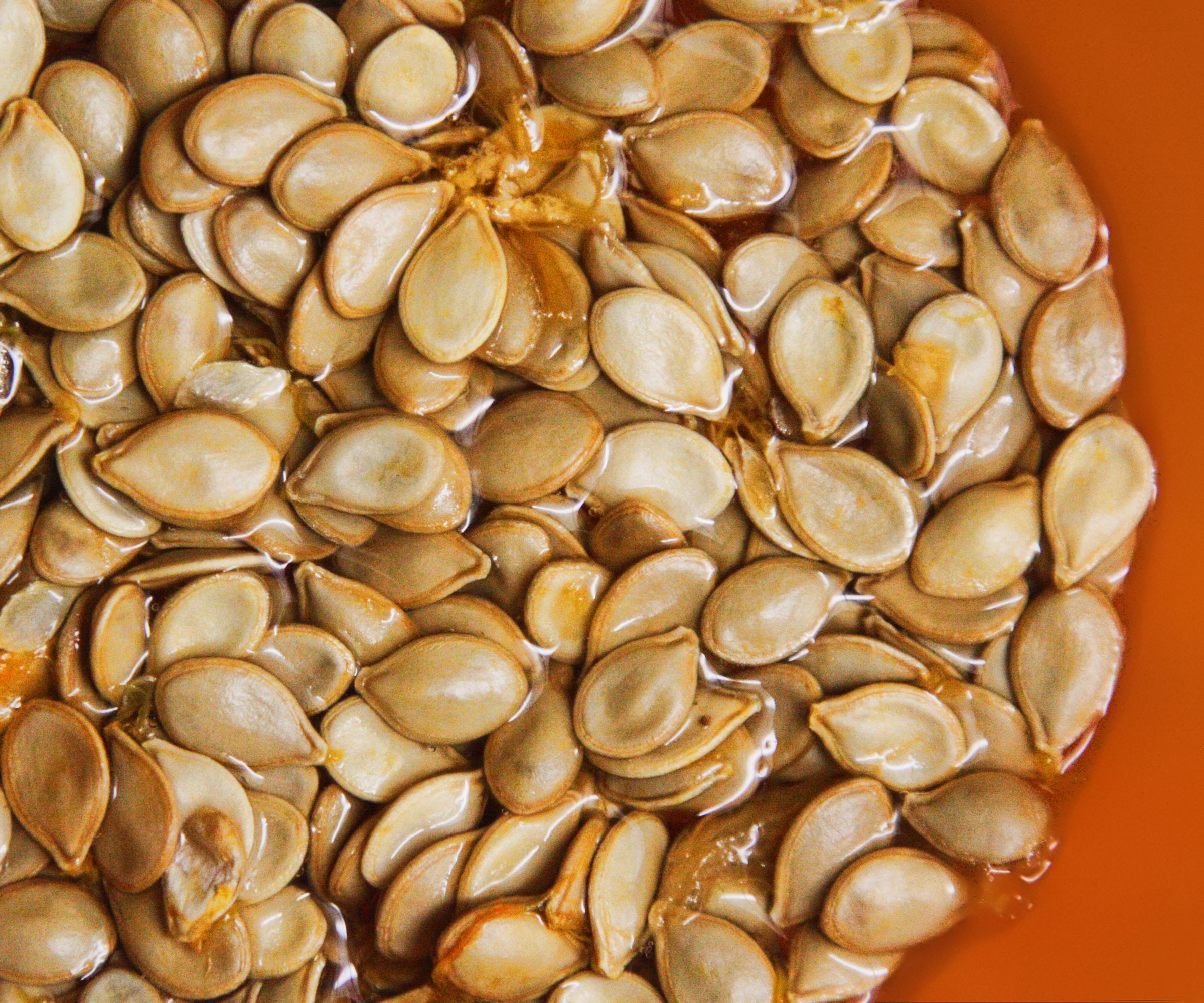squash seeds freshly harvested on orange background