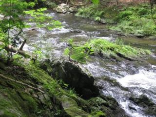 Wappinger Creek in New York's Hudson Valley was one of the streams investigated in the study.
