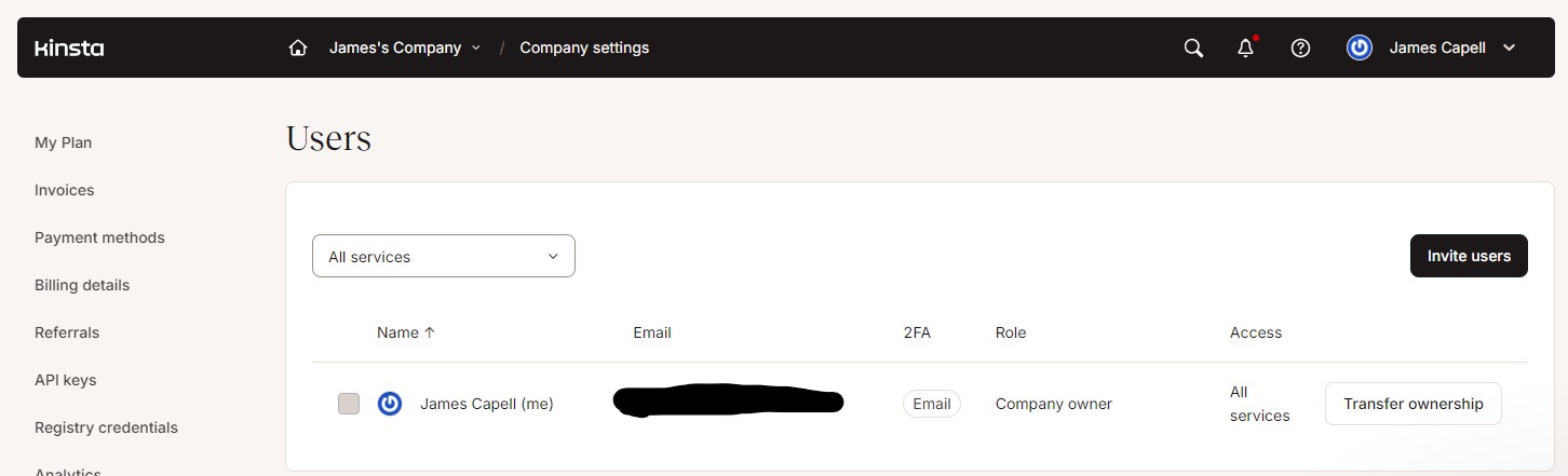 An image showing a user added in the Kinsta UI
