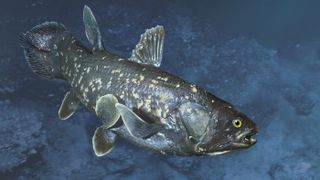 The bizarre-looking coelacanth fish was long thought to be extinct until one was discovered in 1938.