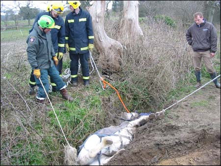 On arrival rescue workers assess the situation