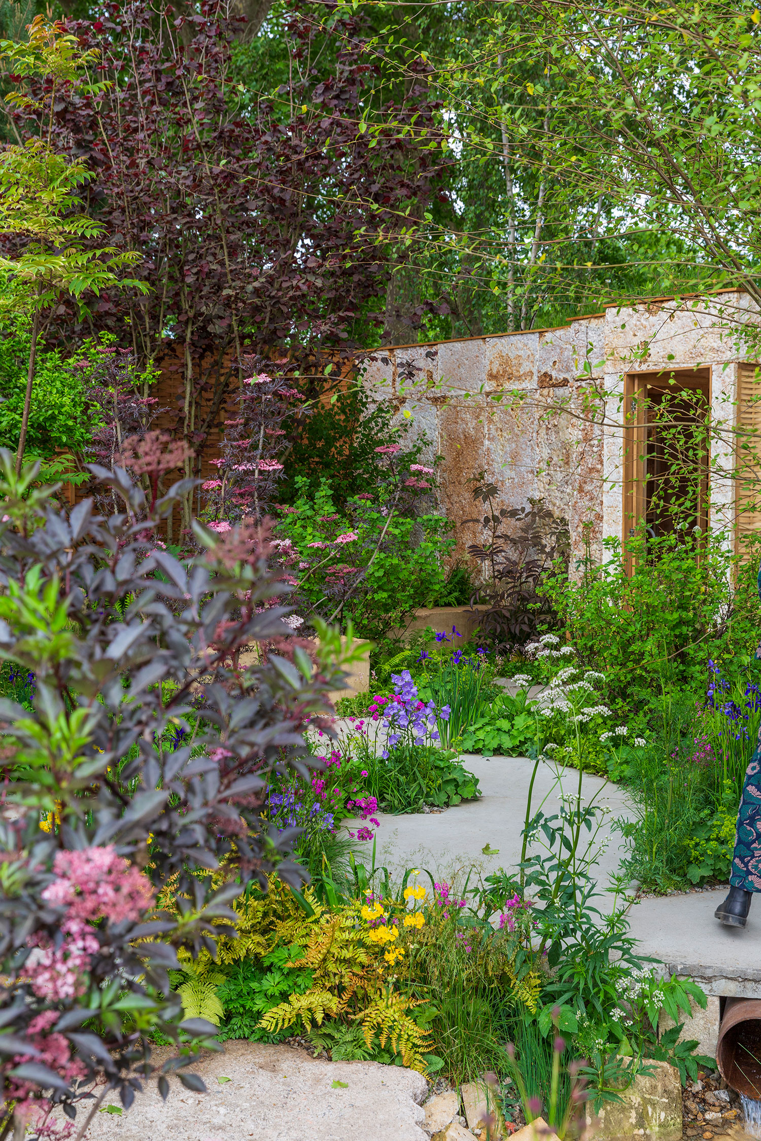 The Avanade Intelligent Garden at RHS Chelsea Flower Show 2025