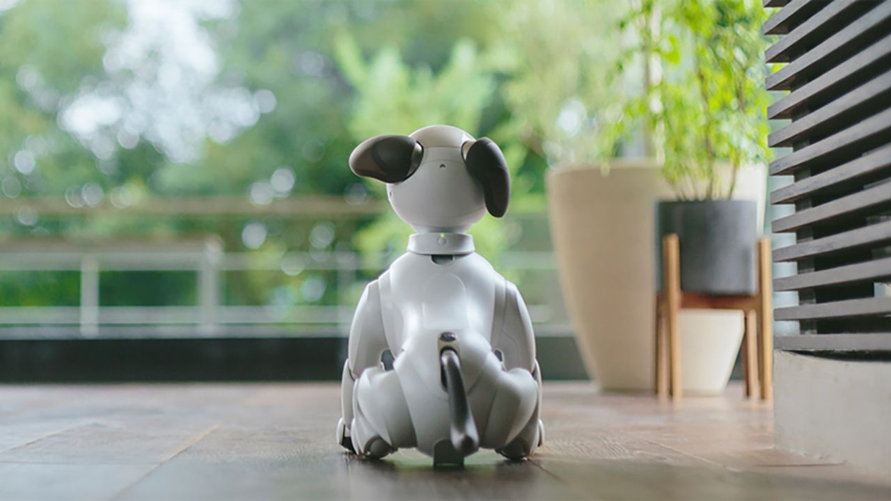 Sony Aibo