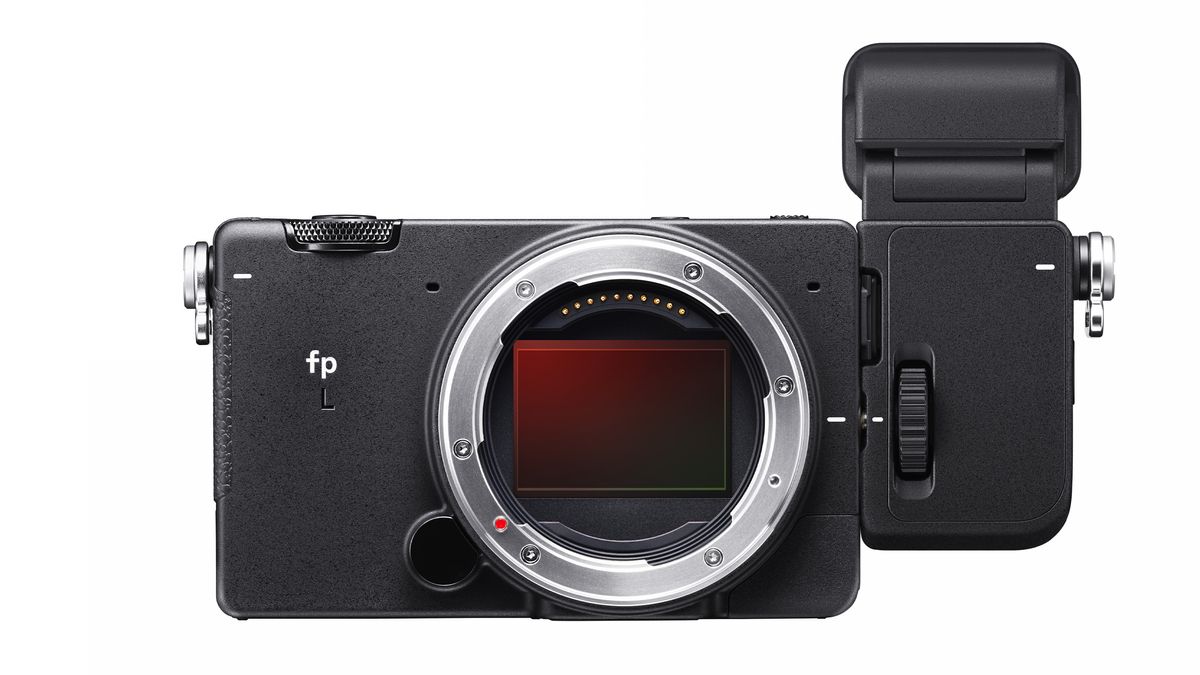 Sigma fp L