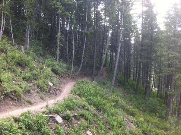 Flowy downhill trails will make for some high speed descending