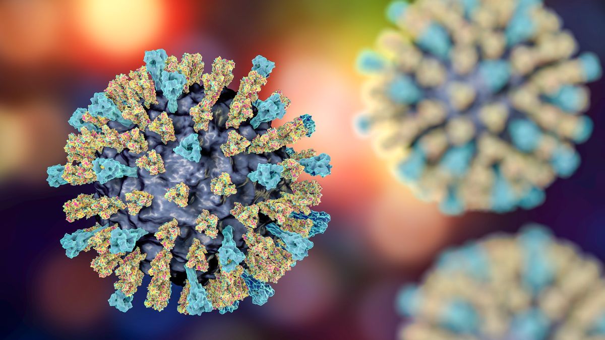 Medical illustration of a single measles virus particle with two more in the background that are blurred. The background is multi-colored. The virus particles are spherical with a purple-colored core with blue and yellow &quot;spikes&quot; coming out of it.