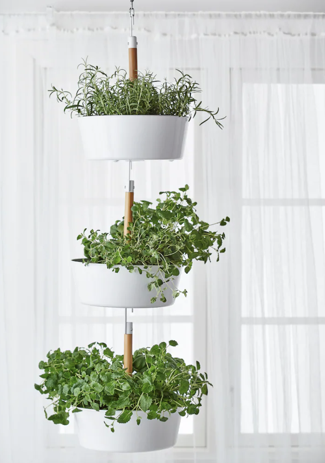 17 indoor gardening ideas – how to start herbs, vegetables and more ...