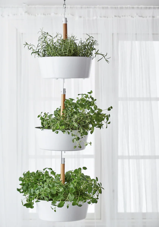 Ikea hanging baskets for plants
