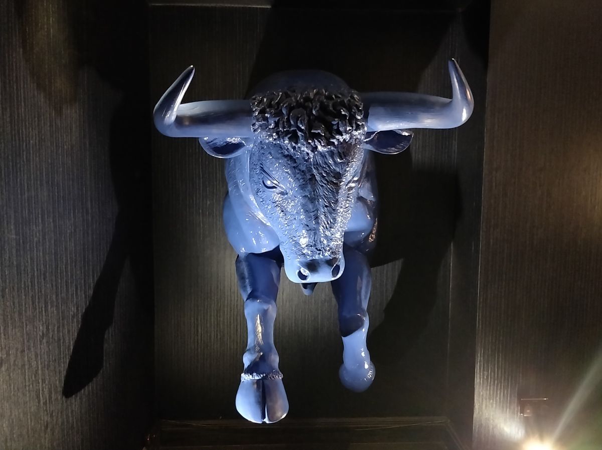 Indoors it can struggle a little, but there's good detail on the bull's head