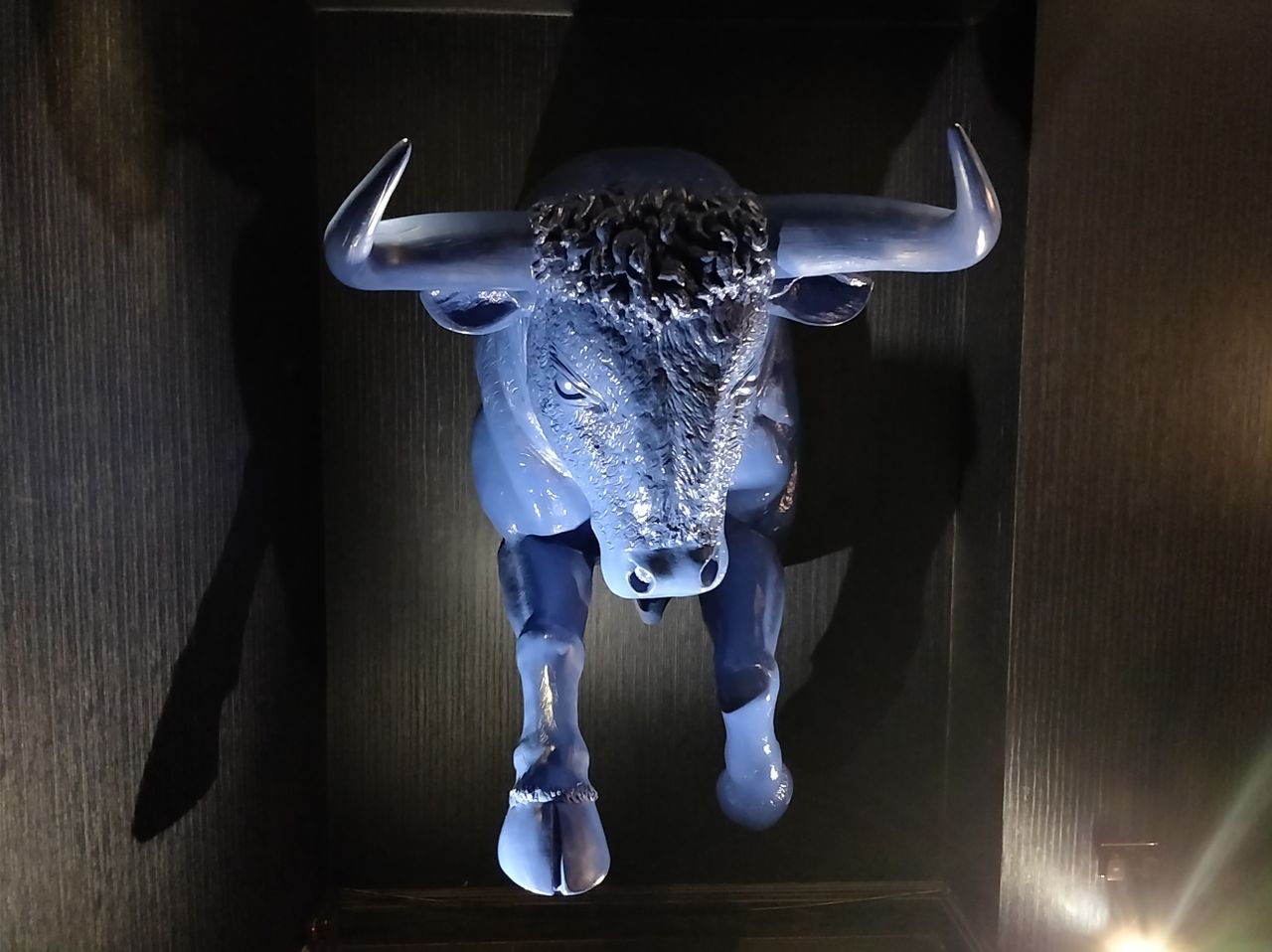 Indoors it can struggle a little, but there's good detail on the bull's head