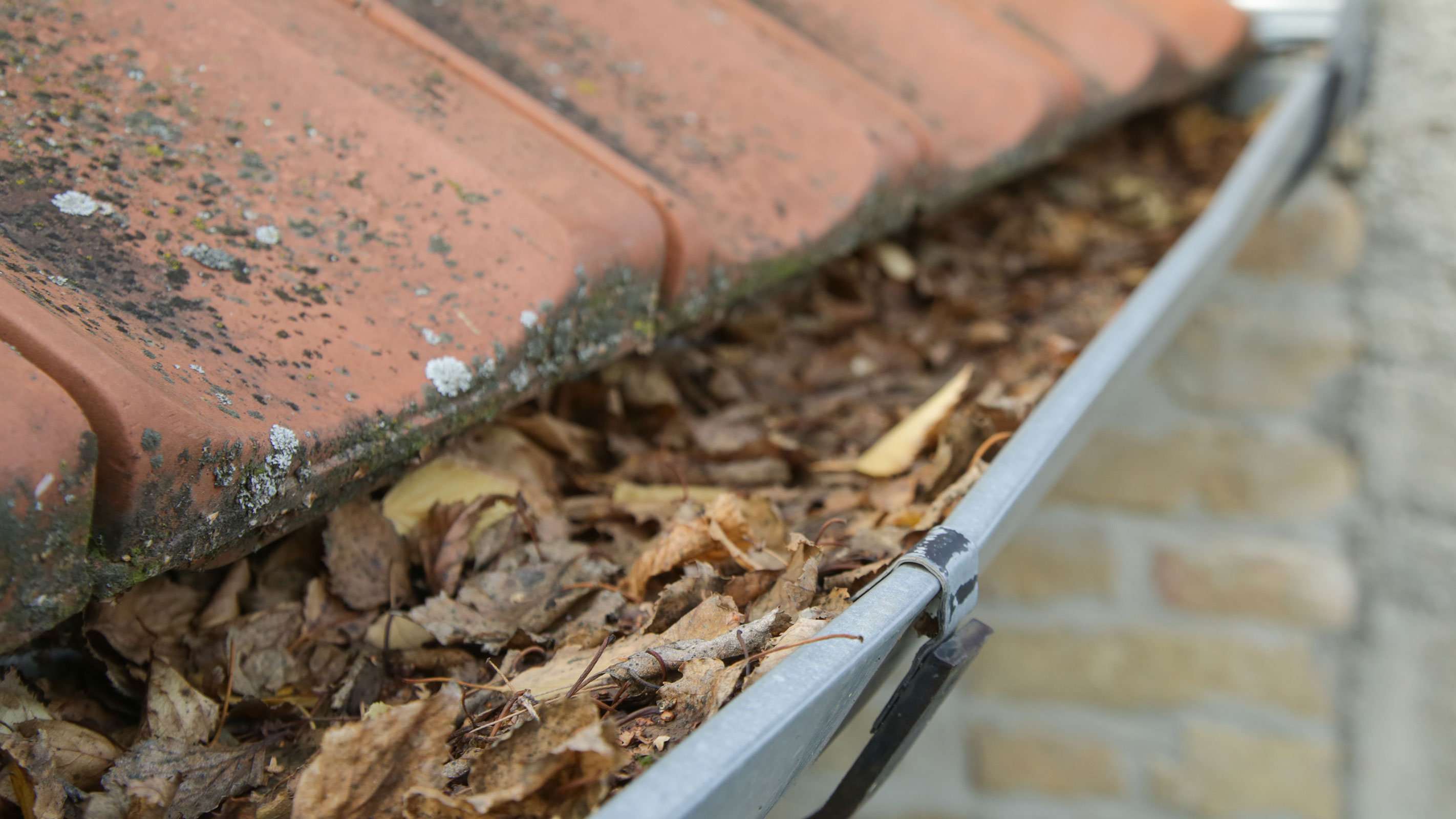 How Much Does Gutter Cleaning Cost Homebuilding   FtRAABbpRqPLbL9fsge3zL 