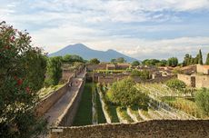 Ancient walls and vineyard near the Garden of the Fugitives in Pompeii, with Mount Vesuvius in the background.