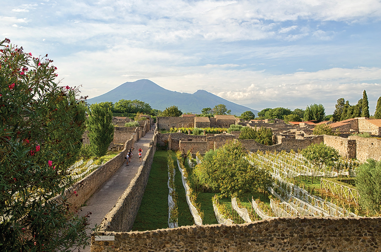 Ancient walls and vineyard near the Garden of the Fugitives in Pompeii, with Mount Vesuvius in the background.