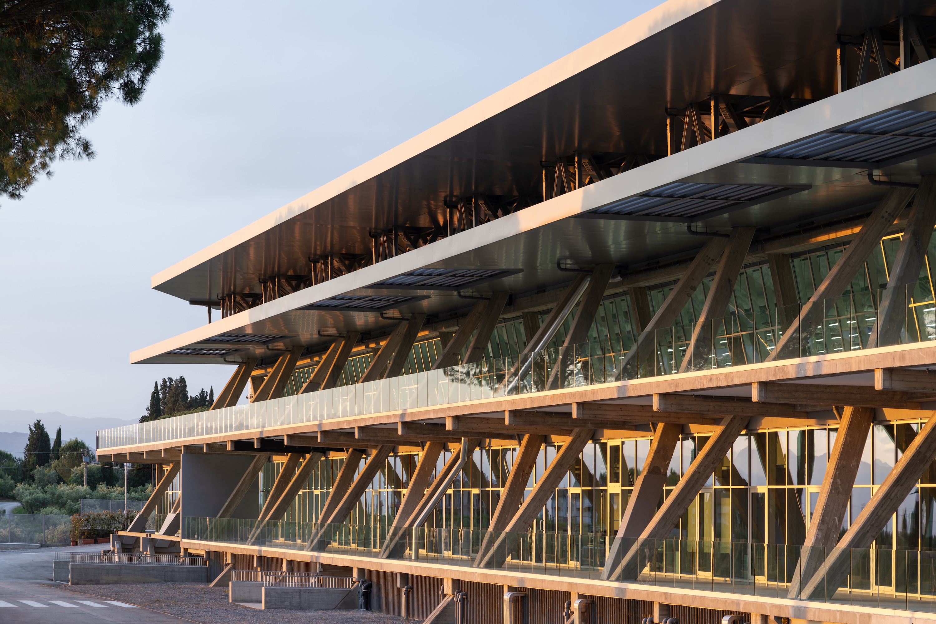 Balenciaga The Plant