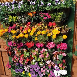 vertical planter kit with potted plant and flowers on living wall