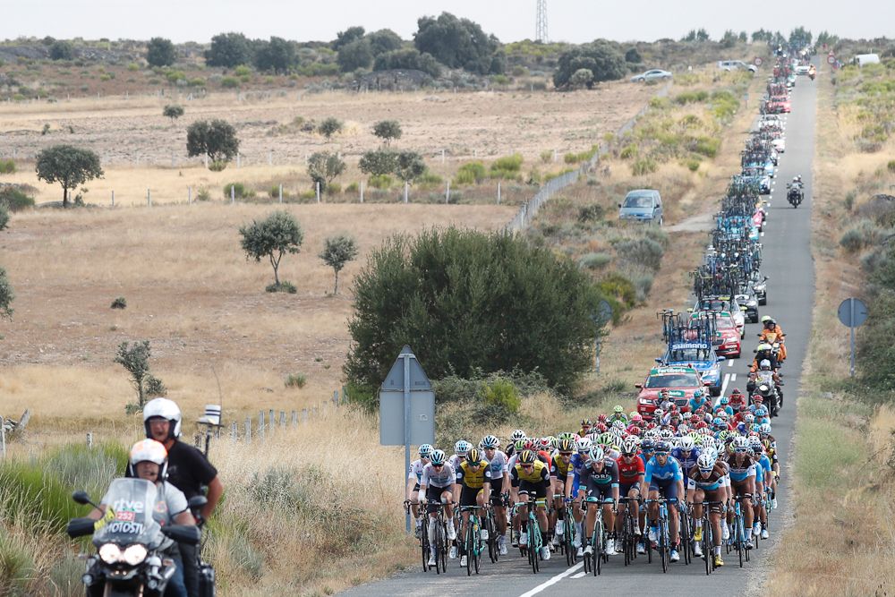 The peloton in action during stage 10 at the Vuelta