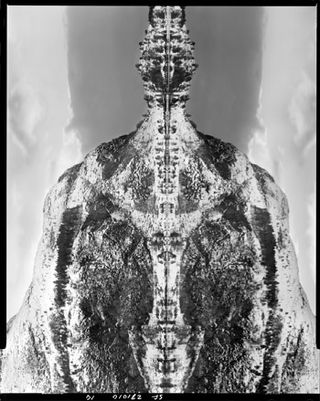 ’Narcissus 14’ by Stuart Franklin, 2010. A rorschach image from inside the book Narcissus.