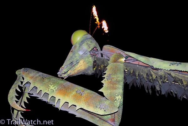 A thirty-foot high, fire-breathing mantis towered over the crowd.