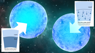Two alternative models for the interior of white dwarfs placed side-by-side. The stars look like large blue orbs; there are arrows denoting where certain layers and processes are.