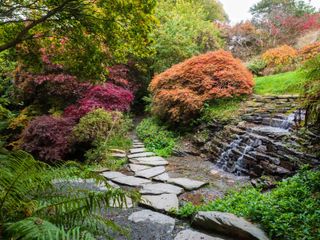 acers and waterfall in zen garden