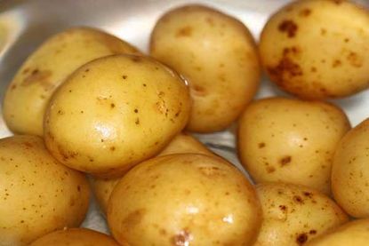 potato-in-water-110105-02