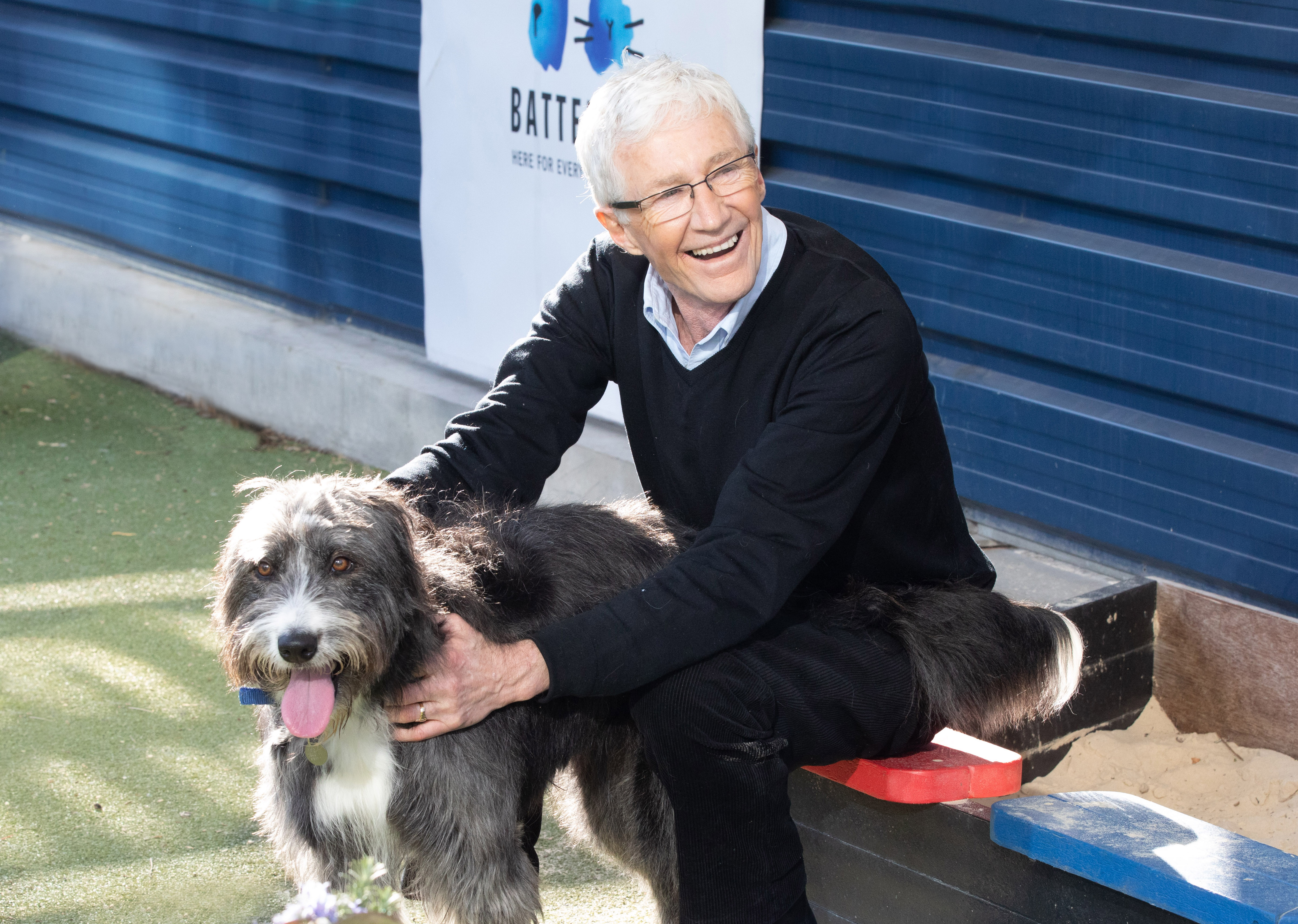 TV tonight Paul O'Grady with dog Lizzie