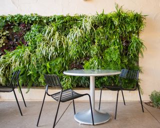 Living wall panel in front of an outdoor table and chairs