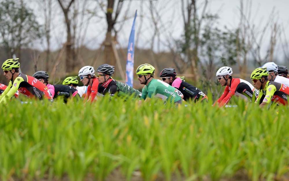 The race passes through a rice field