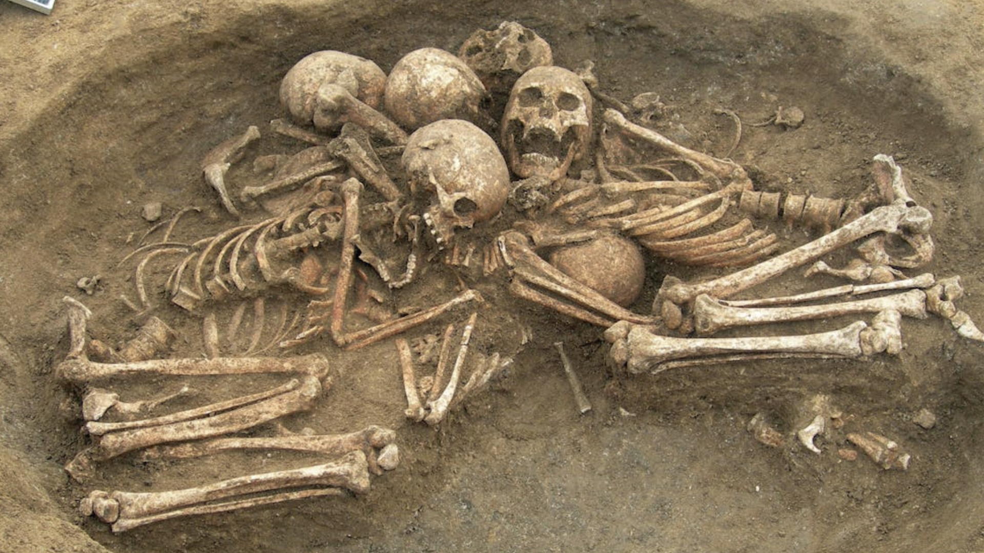 4,500-year-old tomb in France reveals secrets of how 'European genome' came to be