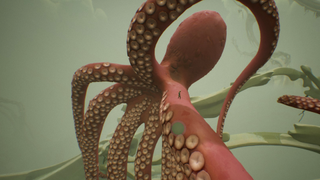 An image of a little boy riding on the tentacle of a large octopus in Chasing the Unseen.