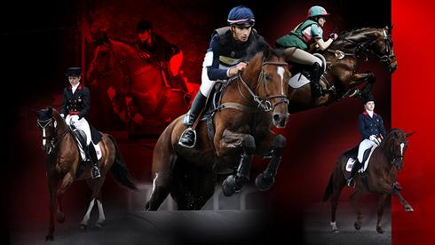 equine montage