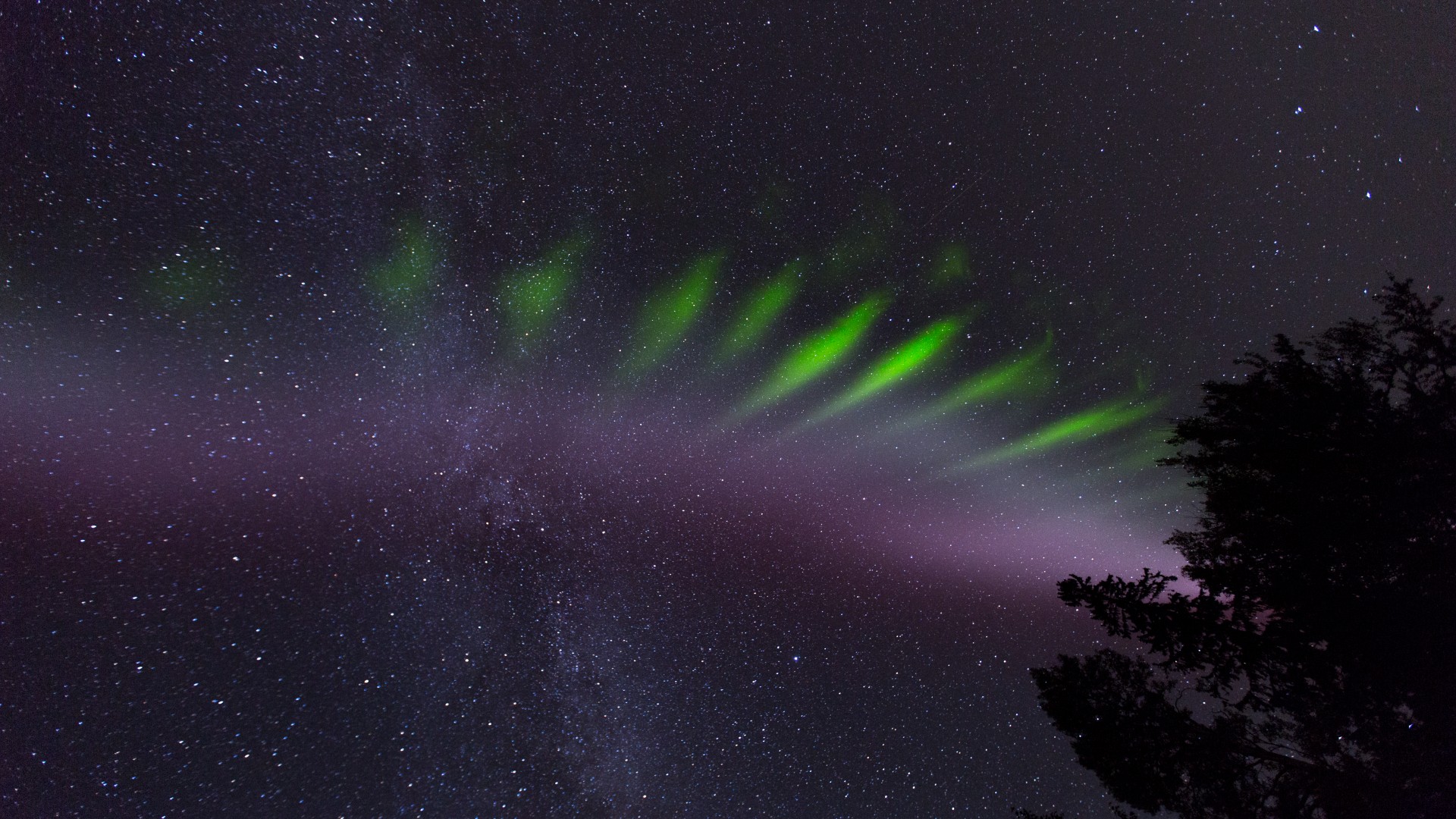 Aurora-like ‘Steve’ phenomenon and glowing ‘picket fences’ point to unknown exotic physics Space