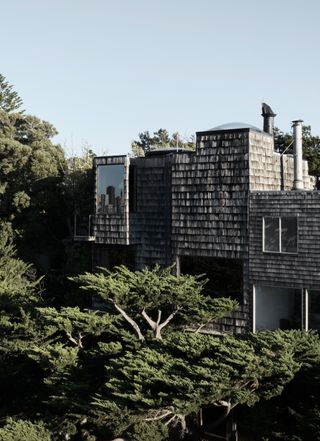 George Homsey's Sea Ranch Home in wood and natural forms that feel organic among trees