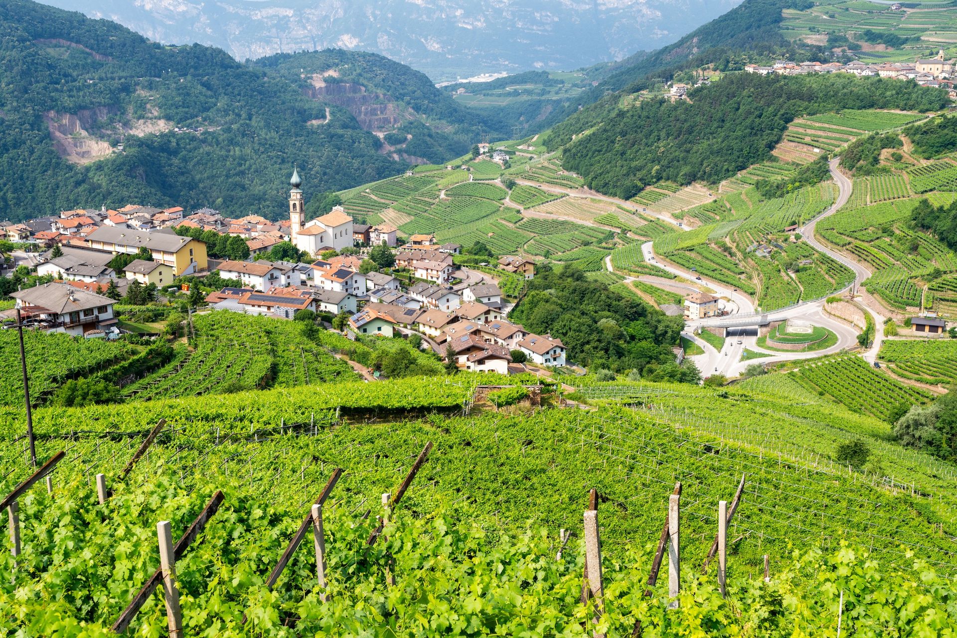 Vineyards cascade down Val di Cembra slopes