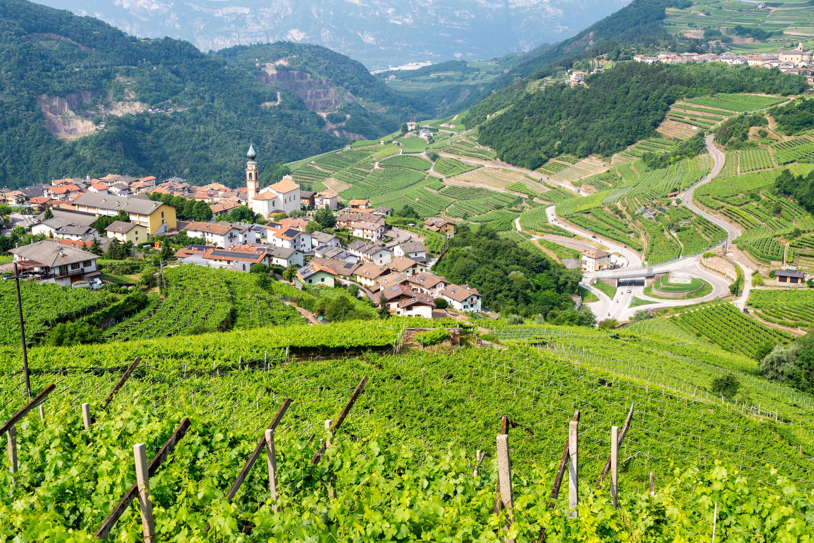 Vineyards cascade down Val di Cembra slopes