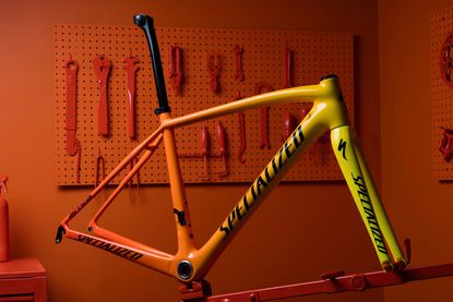 specialized torch paintjob