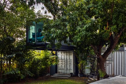 The Carter Show exhibition venue seen peeking out of the foliage 