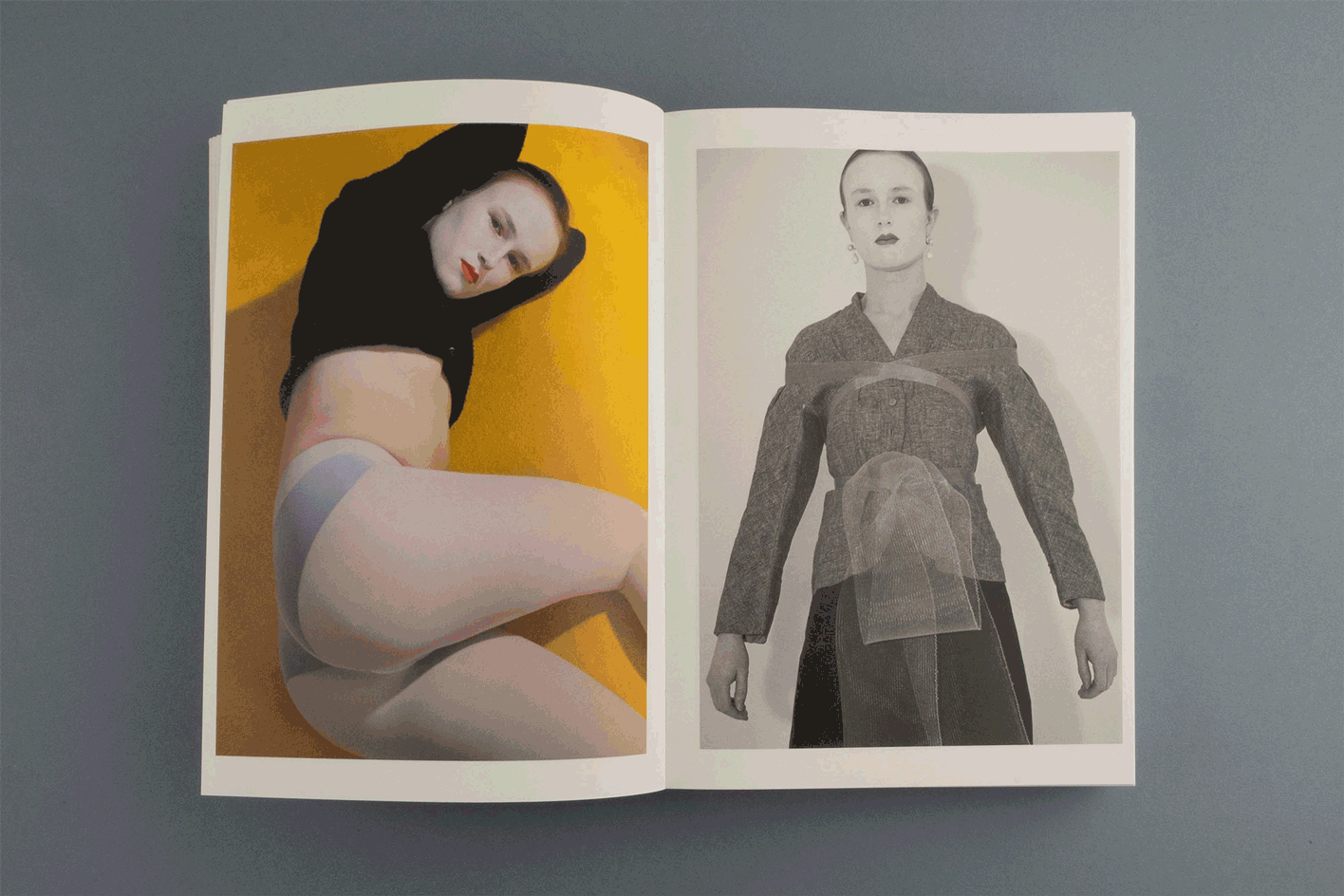 A GIF showing spreads from the book Sister Sister by Liv Liberg, part of the best art books