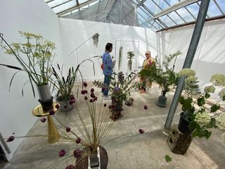 Flower displays in McBean's greenhouse