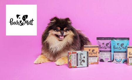 Pomeranian dog led on a pink backgroud surrounded by pooch and mutt food packets. Pooch and mutt logo in top left corner